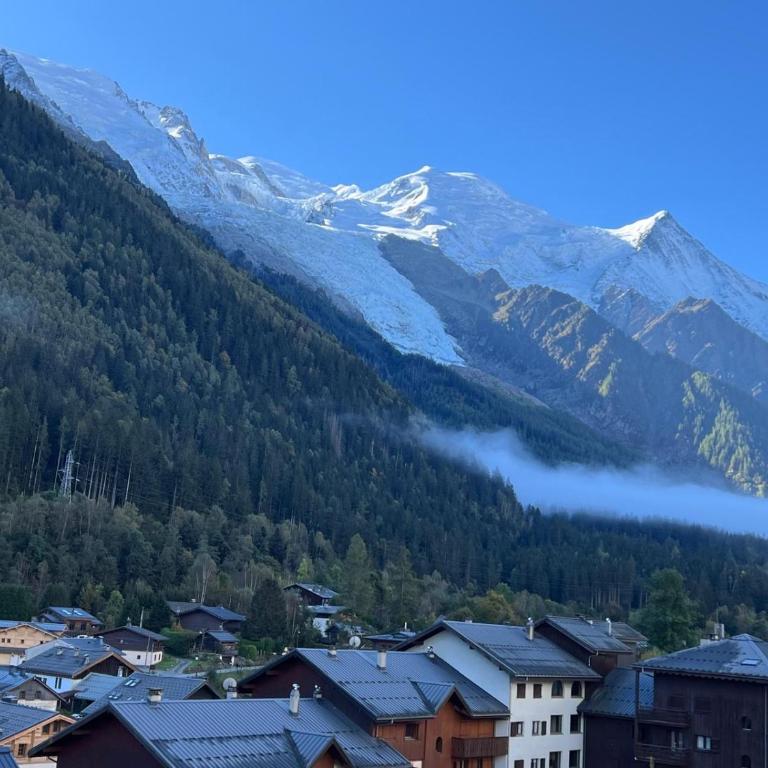 Chamonix Charmant duplex 4 personnes et un enfant - Apartment mit 1 Schlafzimmer - 12