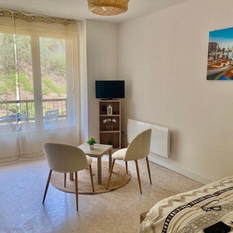 Studio confortable avec balcon, WIFI, proche cures - Estudio - 1