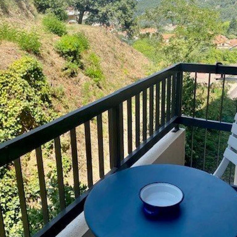 Studio confortable avec balcon, WIFI, proche cures - Estudio - 5
