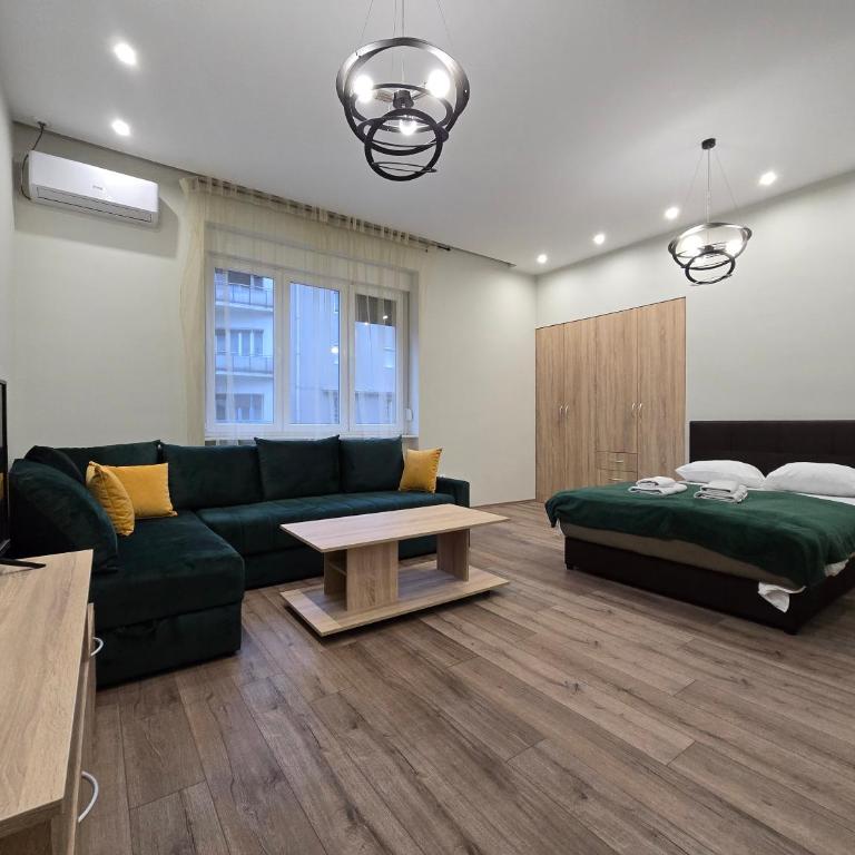 Brankov Apartments - Apartman sa 1 Spavaćom Sobom - 6