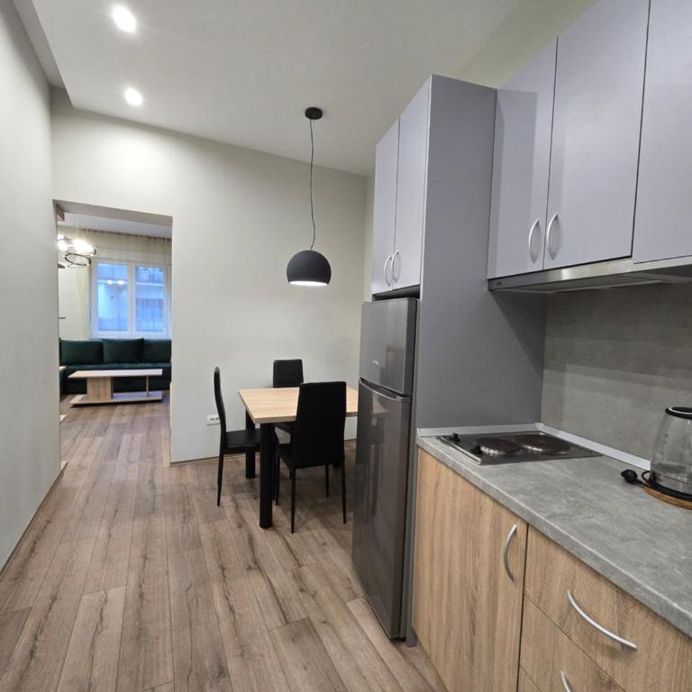 Brankov Apartments - Apartman sa 1 Spavaćom Sobom - 8