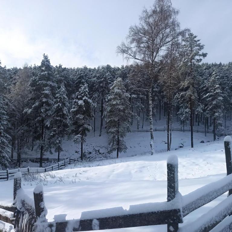 Kuća za odmor-Aleksandra - Vikendica - 22
