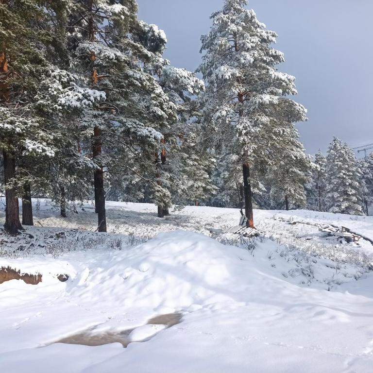 Kuća za odmor-Aleksandra - Vikendica - 21