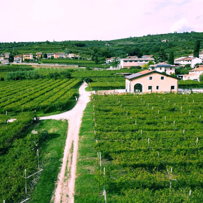 Agriturismo Igino - Camere fra Vigneti della Valpolicella - Camera Matrimoniale con Accesso Disabili - 8