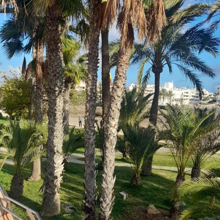 Apartamento Puerto Marina - Apartamento con balcón - 66