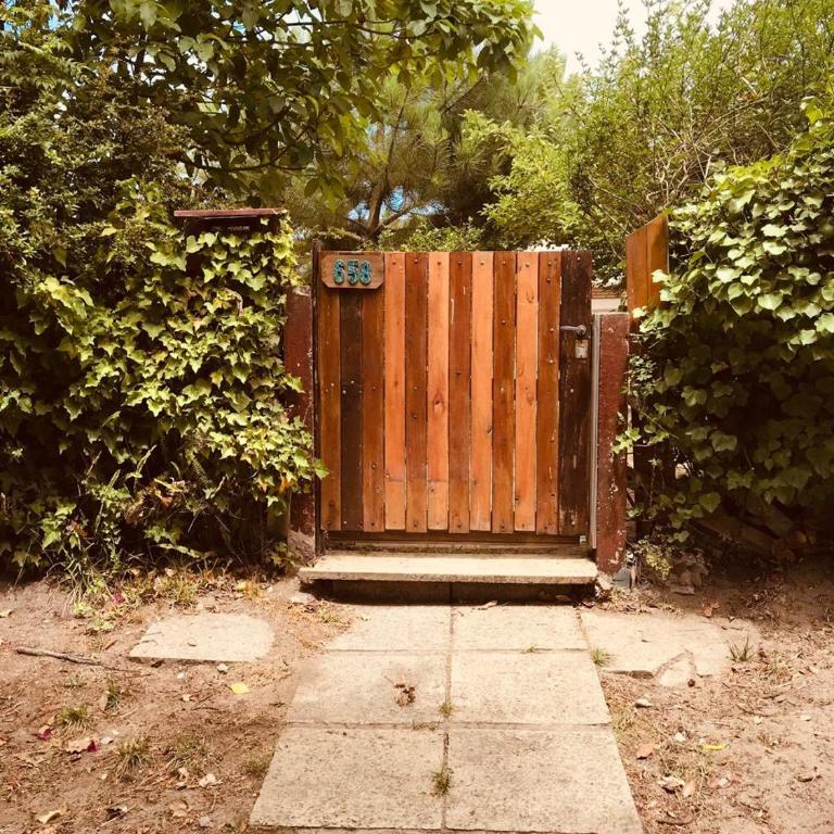 Departamentos Chelson centro depto 3 Gesell - Apartamento de 1 dormitorio - 12