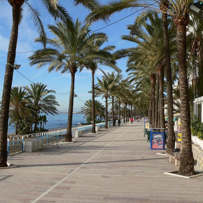Fully renovated frontline flat - Apartamento de 2 dormitorios - 3
