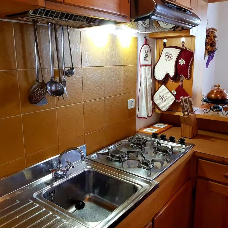 APARTMENT - Ski in&out-accesso diretto alle piste - Appartamento con 1 Camera da Letto - 5