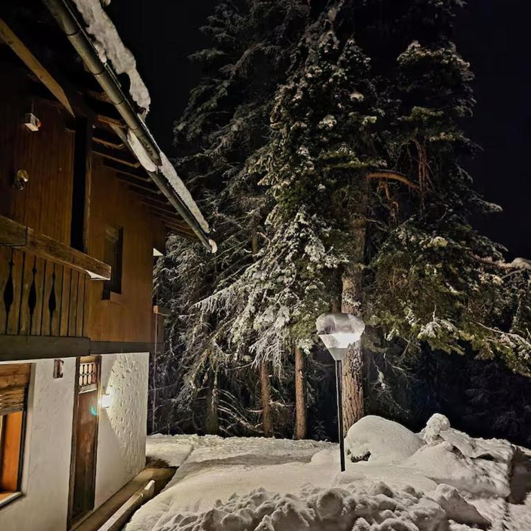 APARTMENT - Ski in&out-accesso diretto alle piste - Appartamento con 1 Camera da Letto - 14