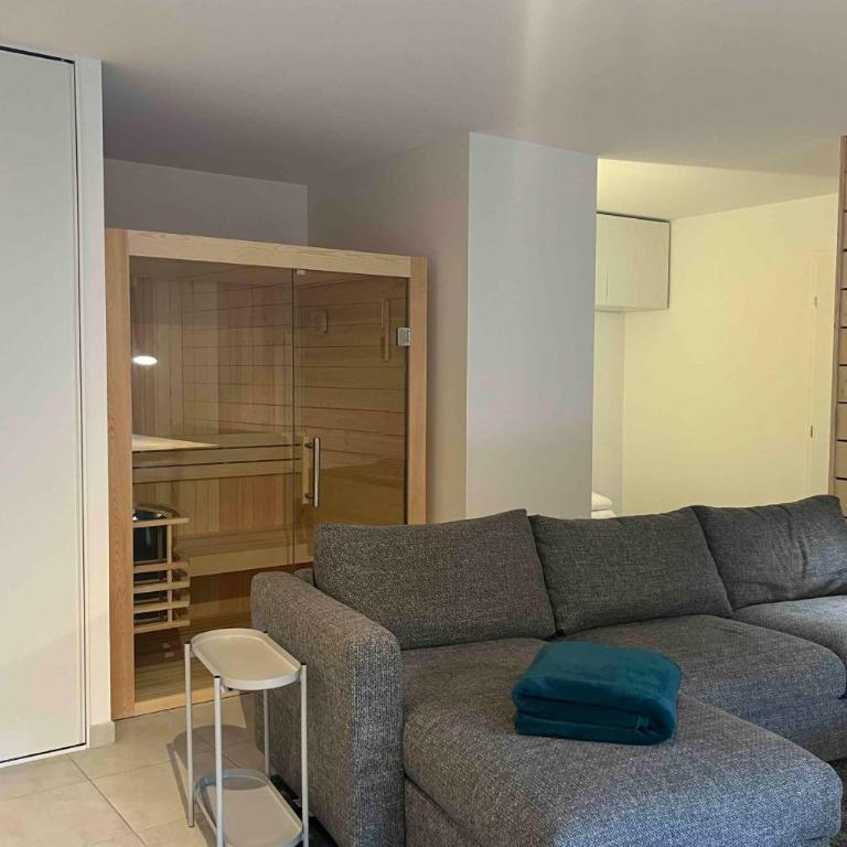 Découvrez ce magnifique appartement au pied des pistes à La Féclaz - Appartamento - 21