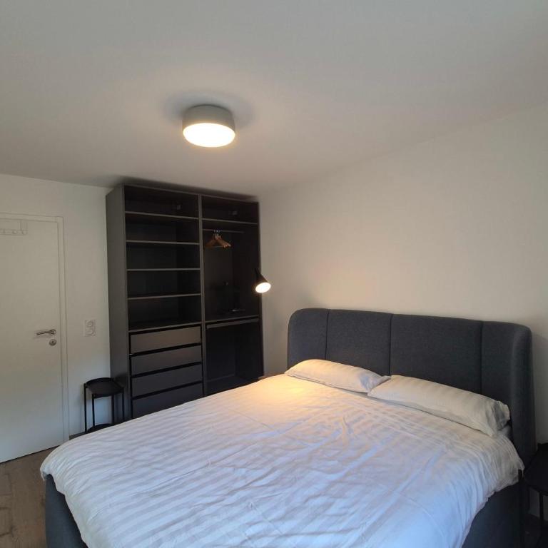 Découvrez ce magnifique appartement au pied des pistes à La Féclaz - Appartamento - 25