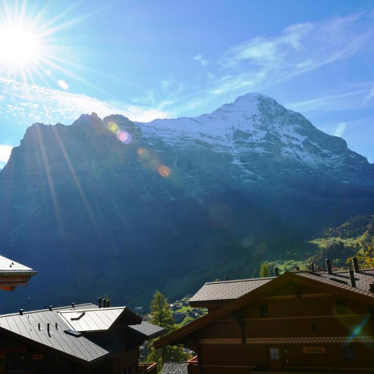 Apartment Delta - GRIWA RENT AG - Apartment mit Blick auf die Berge - 24