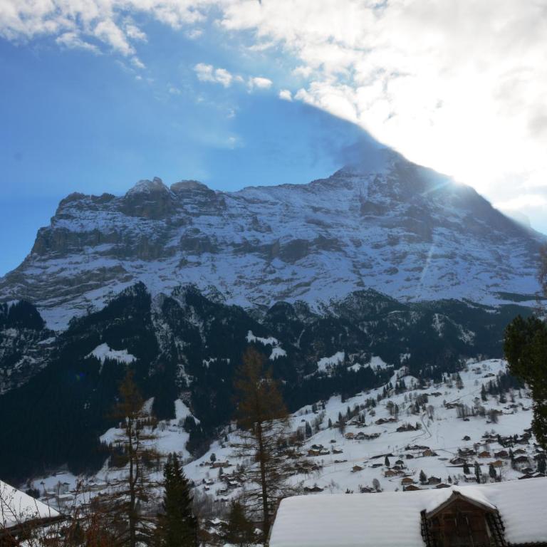 Apartment Delta - GRIWA RENT AG - Apartment mit Blick auf die Berge - 23