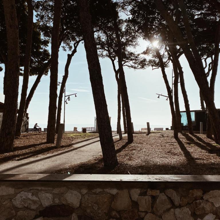 Apartamento acogedor en primera línea de playa - One-Bedroom Apartment - 18