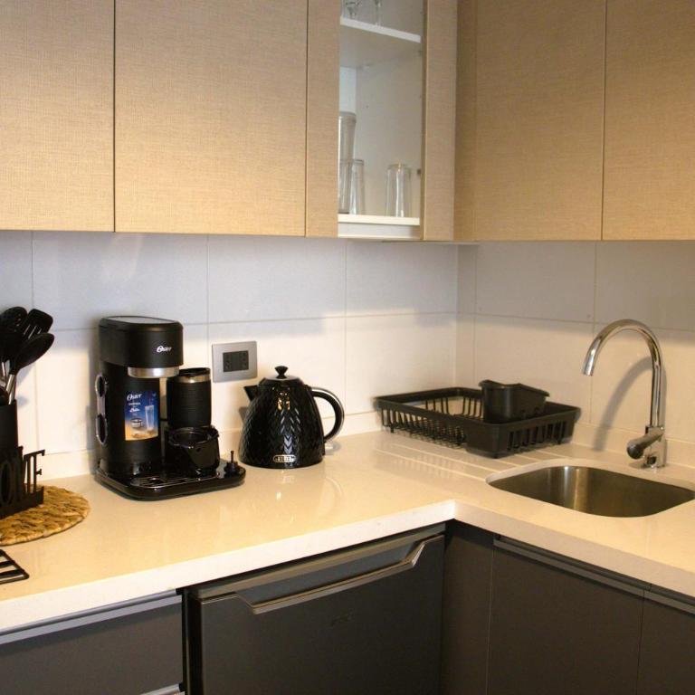 HOM I Nuevo y Renovado Depto 1D1B 2PAX Santiago - Apartamento - 29