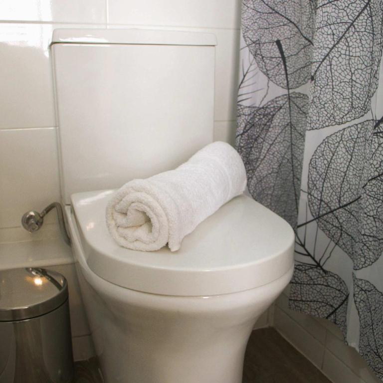HOM I Nuevo y Renovado Depto 1D1B 2PAX Santiago - Apartamento - 31