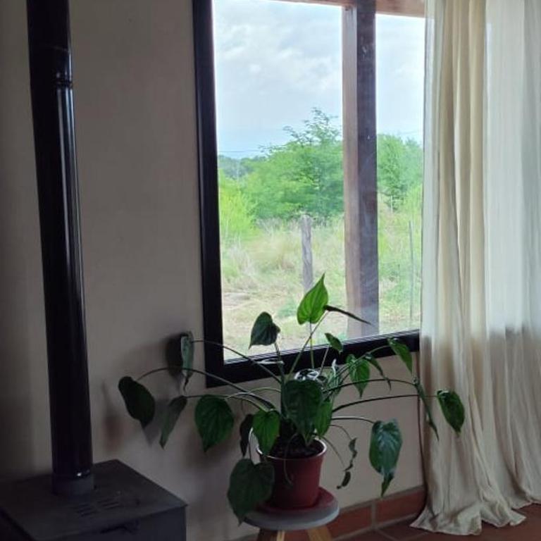 Alebrijescalamuchita - One-Bedroom Apartment - 3