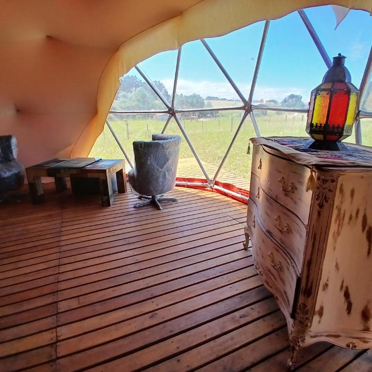 Domo Naranja - Tienda - 6