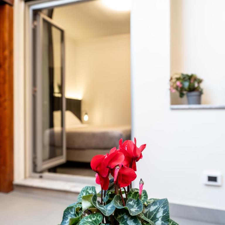 MIA Rooms B&B - Camera Matrimoniale Standard - 22