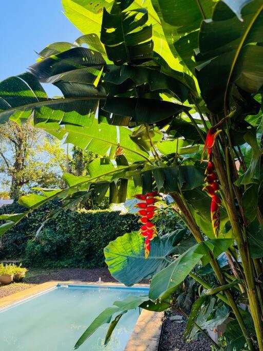 Apart El Altillo, loft ambientes abiertos 6 pax en Cataratas pileta compartida - Apartamento de 2 dormitorios - 35