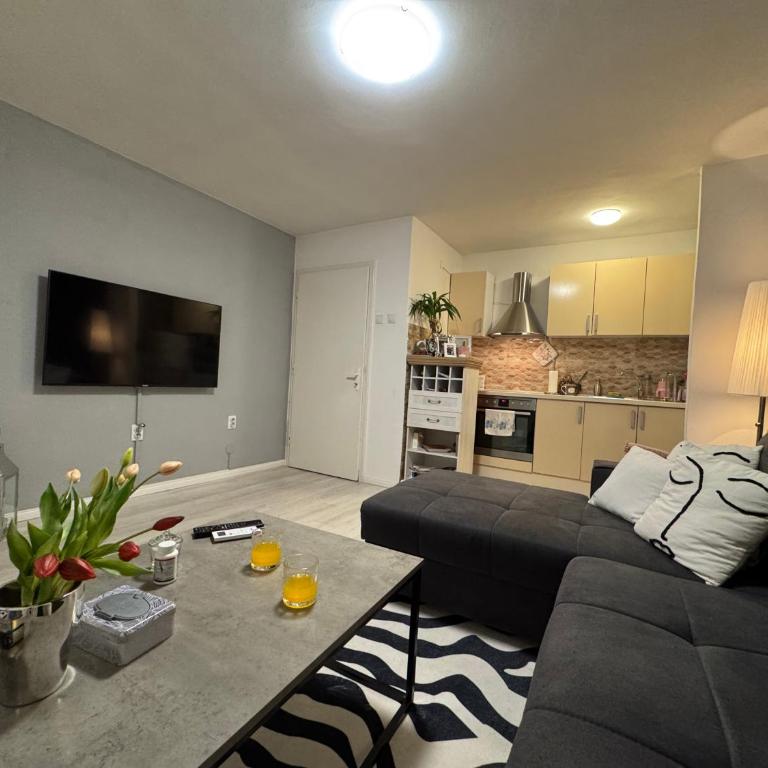 Lotos I by Nana - Apartman sa 1 Spavaćom Sobom - 7