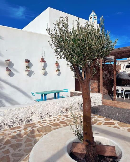 Villa Alfonso NEW, with local traditional style - Villa de 4 dormitorios - 36