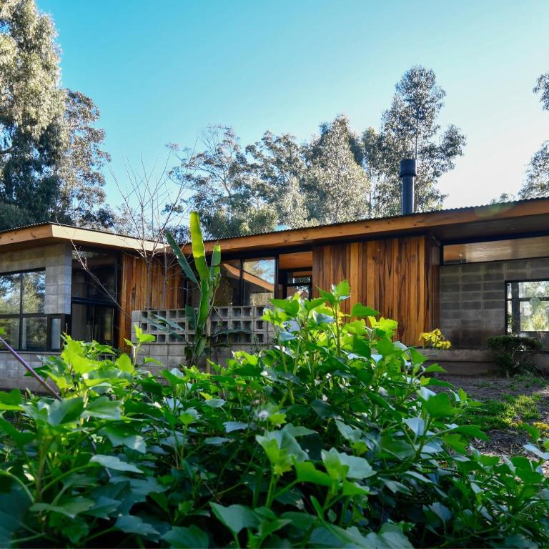 Casa LUZ - Casa Unifamiliar de 3 dormitorios - 5