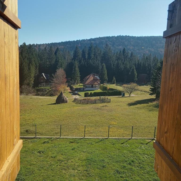 Tara Mountain House - Dvokrevetna Soba sa Bračnim Krevetom i Sopstvenim Kupatilom - 17