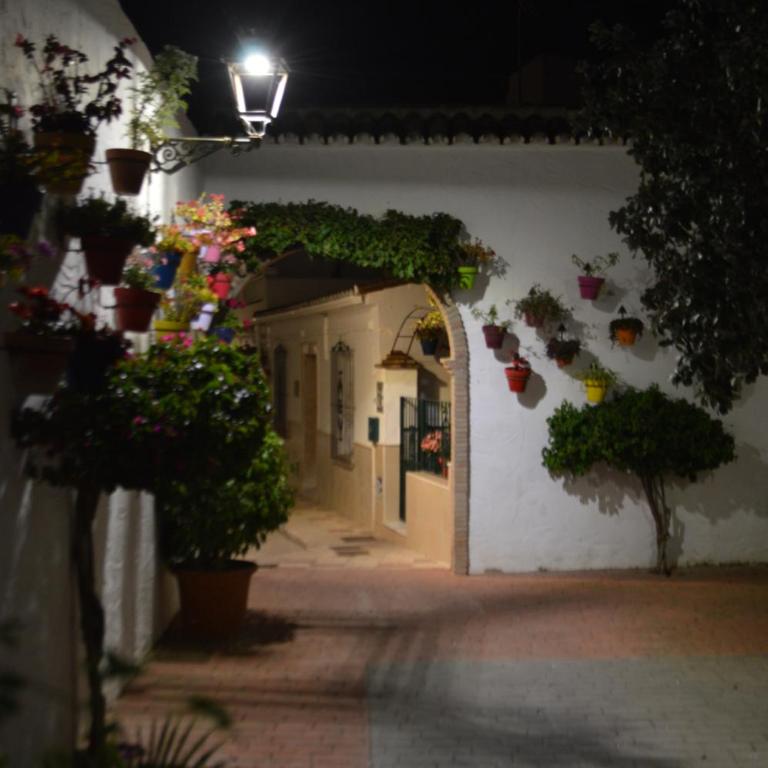 Premium Oldtown Beach House "La Pita" with Terrace and Parking - Casa de 4 dormitorios - 20