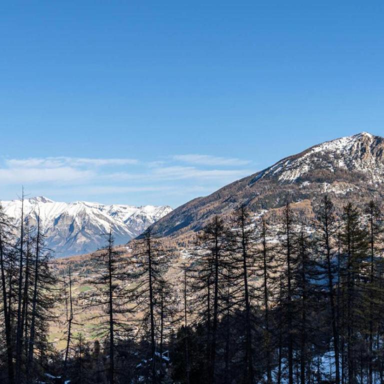 Résidence Les Hauts De Preclaux - Appartement montagnard & chaleureux aux Orres 1800 MAE-3771 - Apartamento - 8