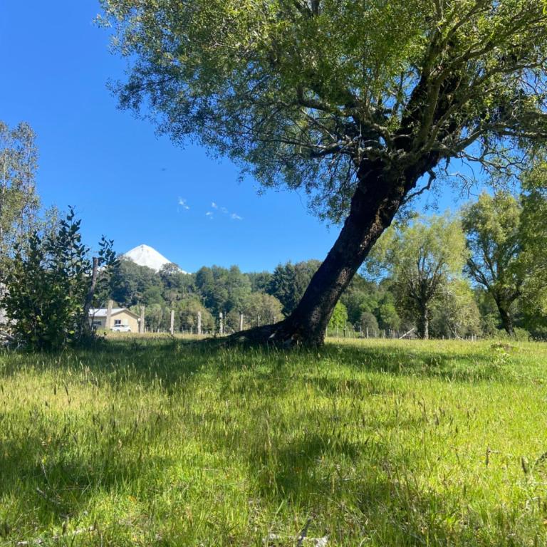 Cabaña rivera del Captrén - Apartamento de 2 dormitorios - 23