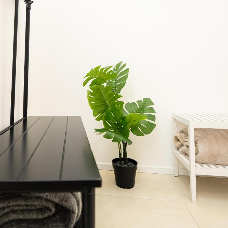 Valguarnera Studio Apartments - Studio Apartment - 3