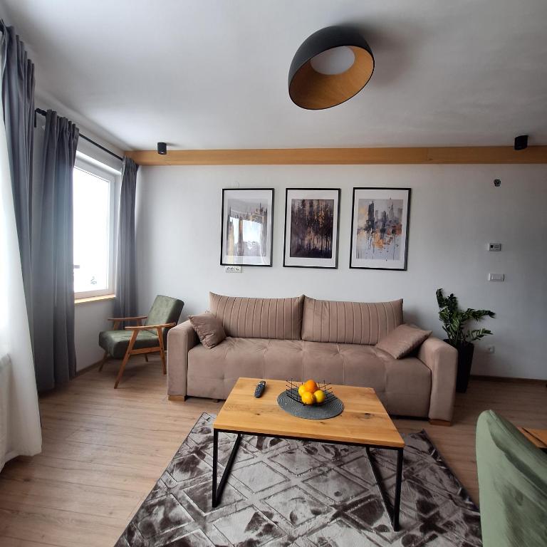 Hera Kopaonik - One-Bedroom Apartment - 3