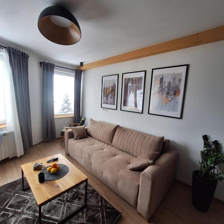 Hera Kopaonik - One-Bedroom Apartment - 7