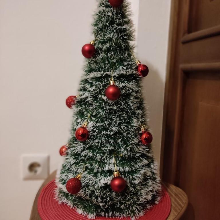 Apartman Trijumf - Apartman sa 1 Spavaćom Sobom - 9