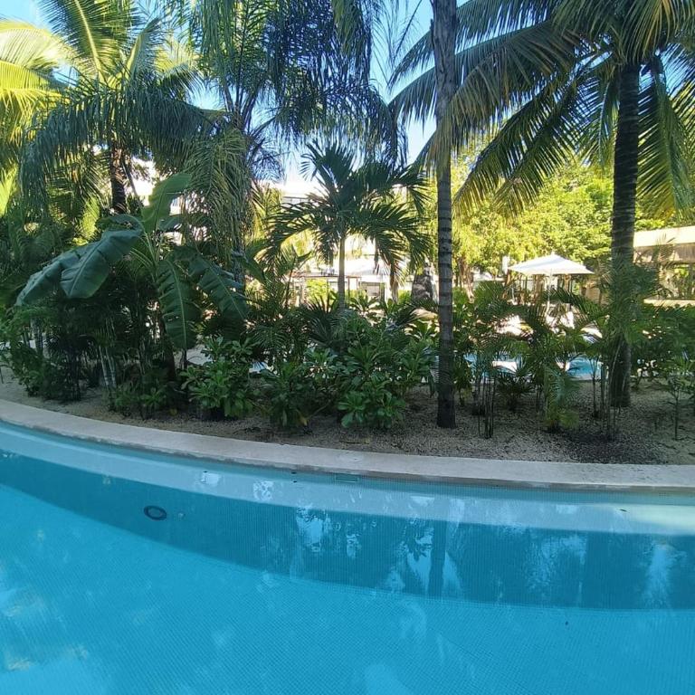 luxury central park lagunas - Estudio - 14
