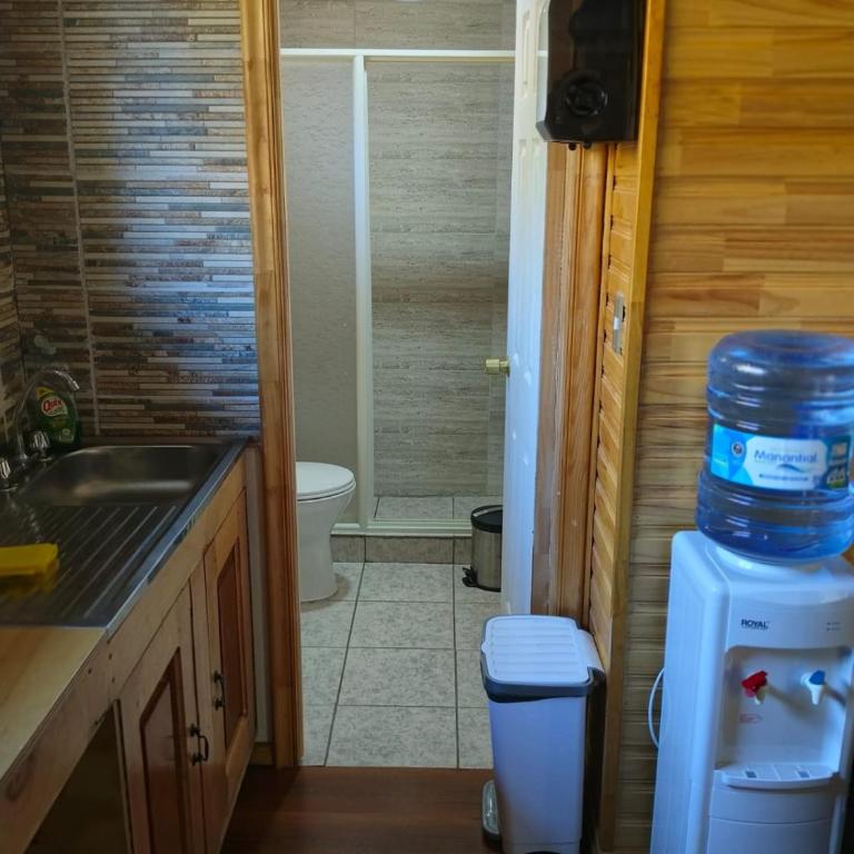 Cabañas Mirador del Puma - Two-Bedroom Apartment - 10