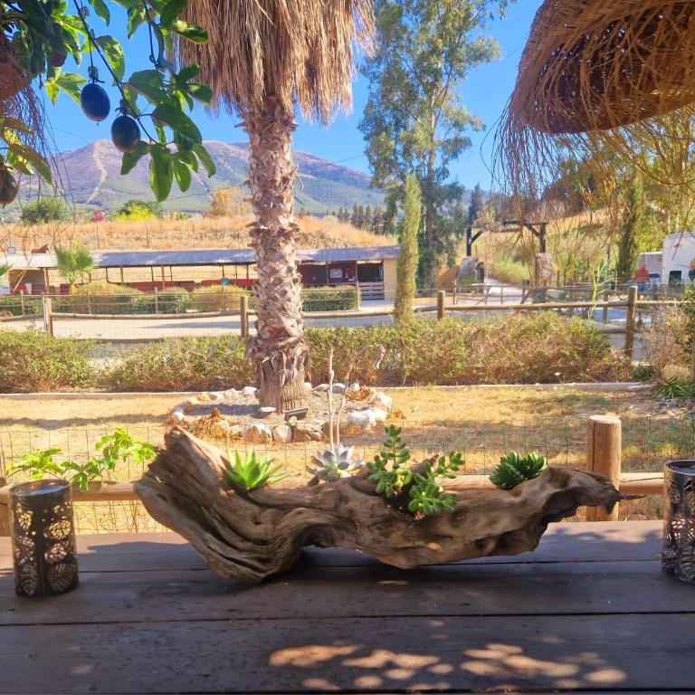 Casa Anna Rancho Pancho - One-Bedroom Apartment - 15