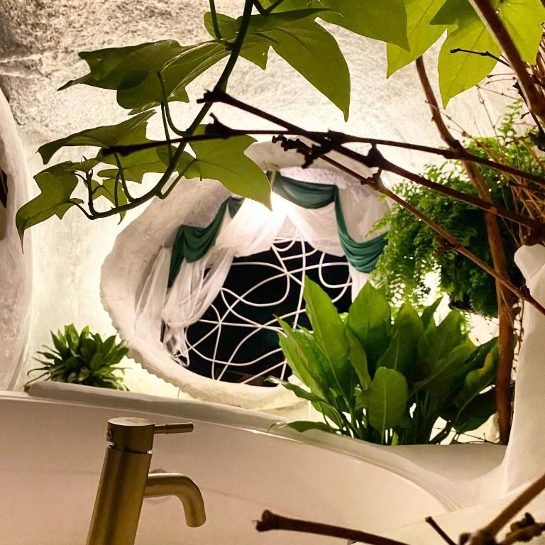 Glamping CAVE - Habitación Doble con bañera de hidromasaje - 7