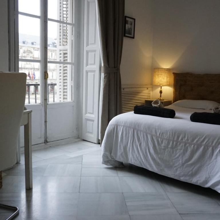 Elegant full apartment overlooking Plaza Mayor - Apartment - 19
