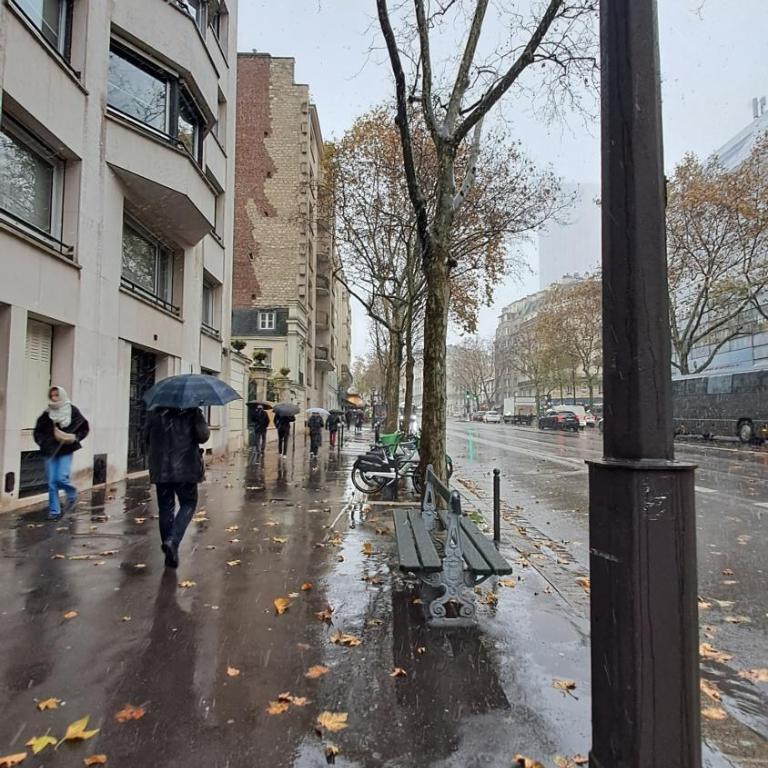 Studette cosy ideal pour un séjour parisien métro Duroc - Appartement 1 Chambre - 10