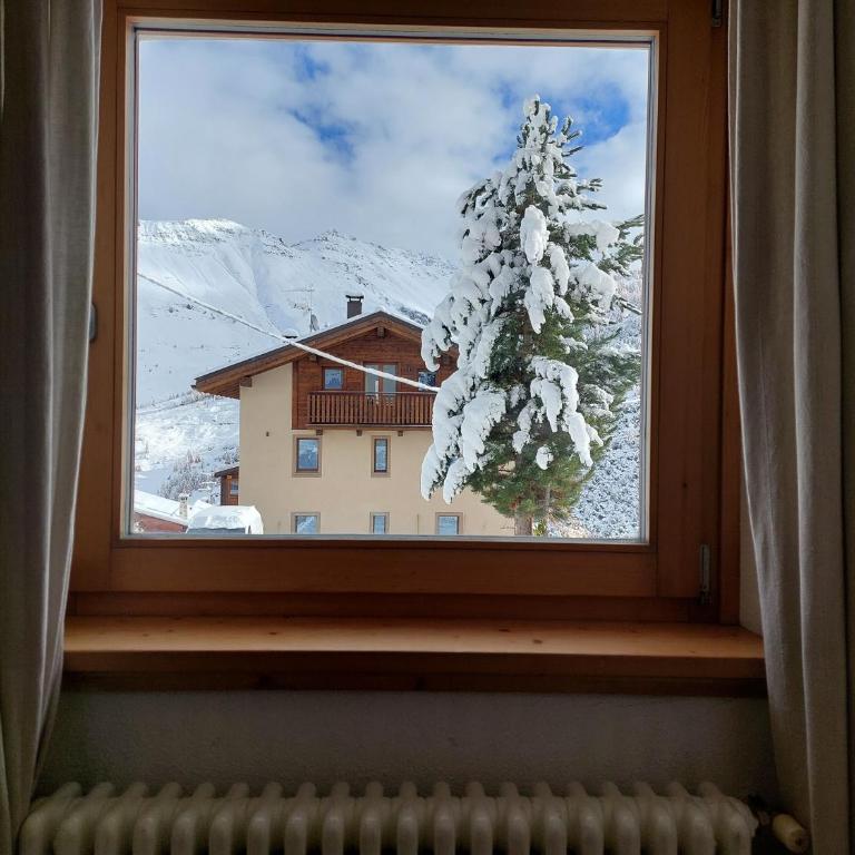 Chalet Baita Zelda - Appartamento Familiare con 1 Camera da Letto - 13