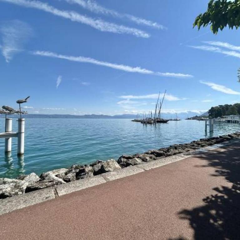 Appartement confortable avec piscine et parking à Évian-les-Bains - Appartement 1 Chambre - 10