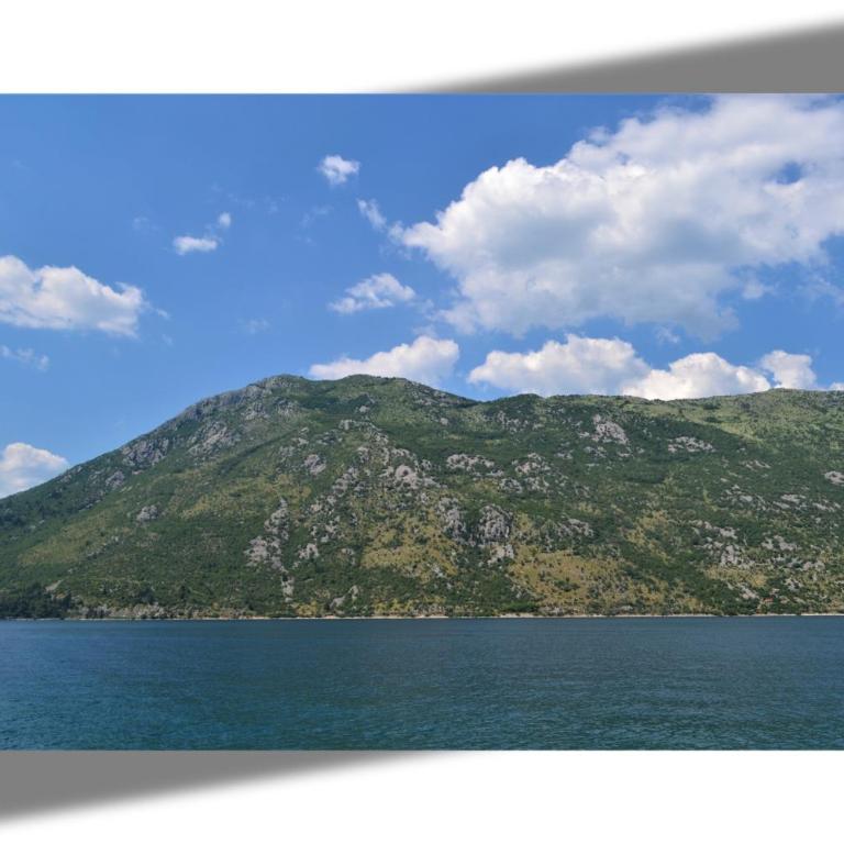 Apartments Djurovic - Economy Double Room - 11