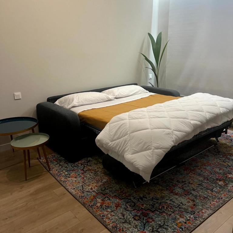 CHAPITELES Catedral - Apartamento de 2 dormitorios - 31