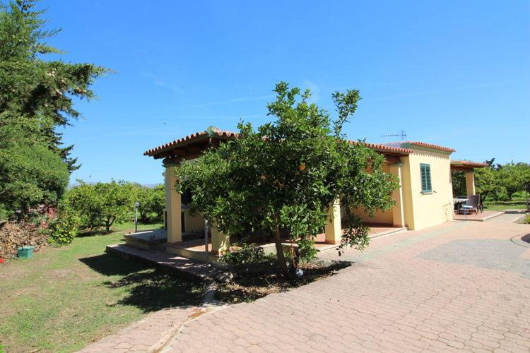 Appartamento villa delle Arance 300mt dalla spiaggia - Appartamento - 16