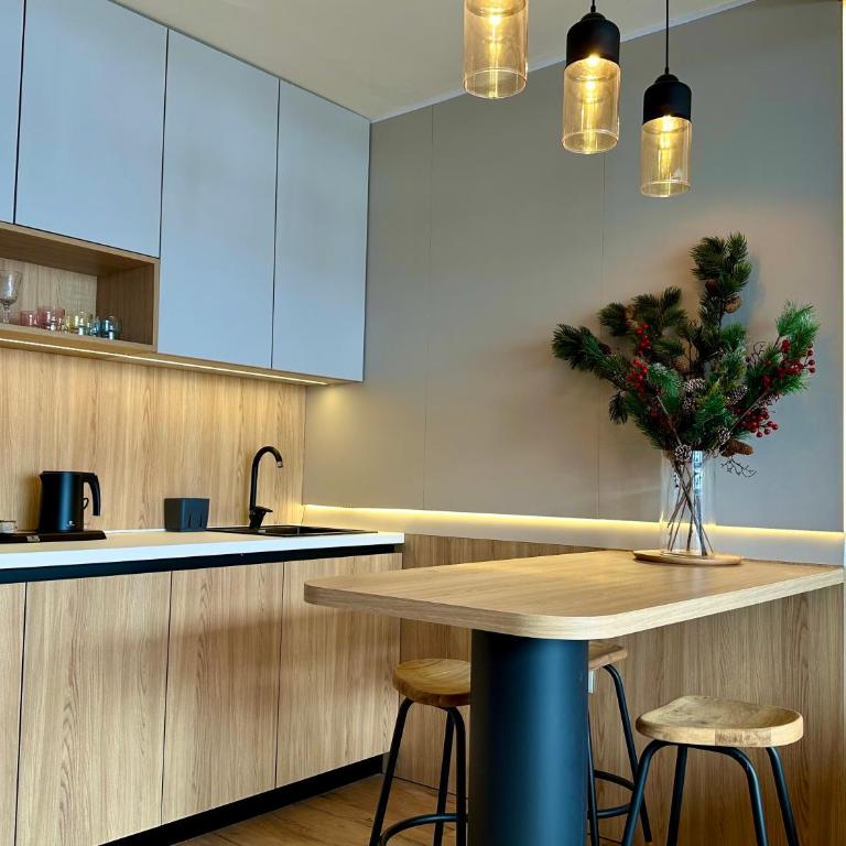 MIA Suites Jahorina - Duplex One-Bedroom Apartment with Terrace - 4