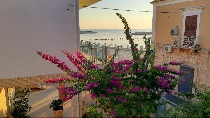 EDEN HOUSE - Appartamento con 1 Camera da Letto - 40