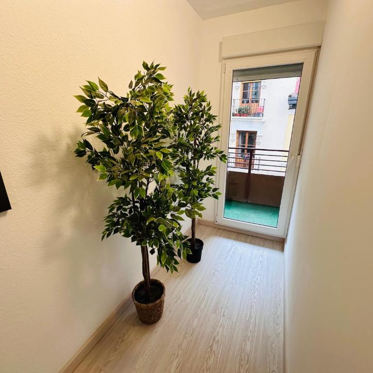 El Teatro del Pilar - Apartamento de 2 dormitorios - 33