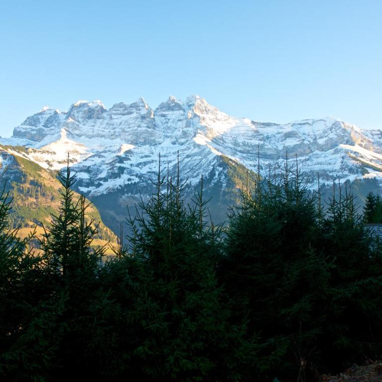 L'observatoire des Alpes, les Crosets - Chalet Superior - 15